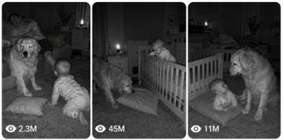 USA BABY & PETS NIGHT-VISION RESCUE