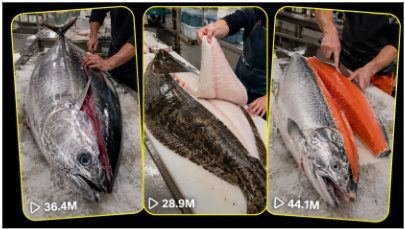 WHOLE-FISH CUTTING ASMR