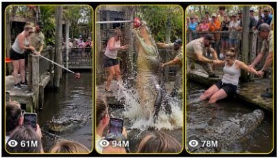 AMERICAN GIANT CROCODILE ZOO FEEDING