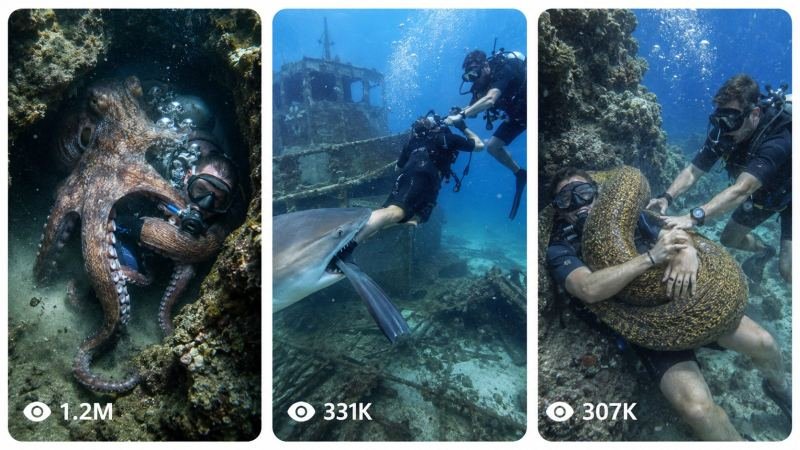 UNDERWATER GIANT CREATURE SURVIVAL & RESCUE