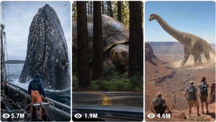 Colossal Creature Caught on Camera